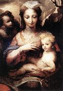 BECCAFUMI, Domenico Madonna with the Infant Christ and St John the Baptist  gfgf oil painting picture wholesale